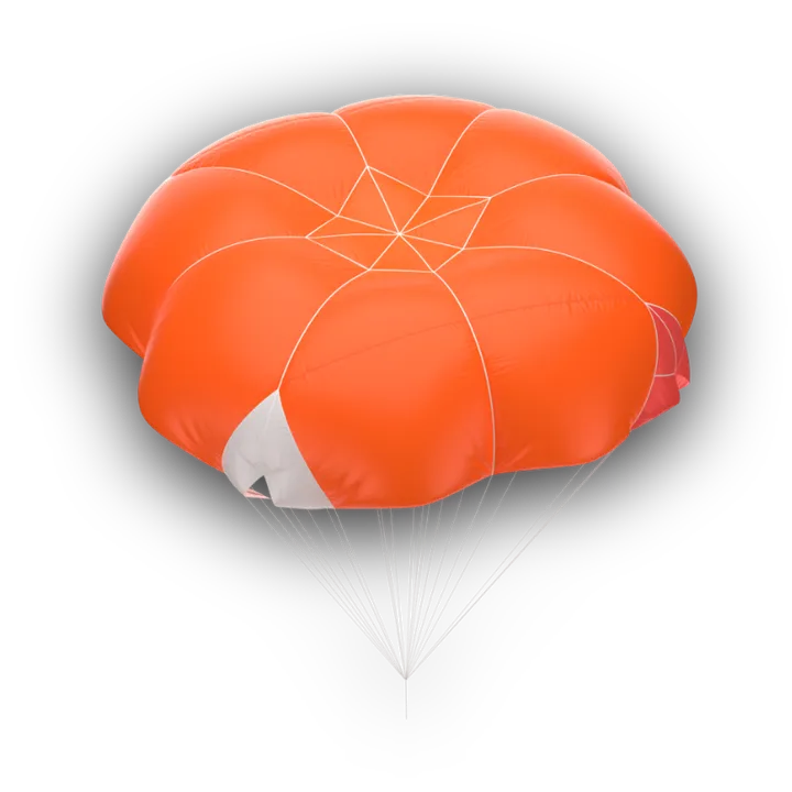 COMPANION AERO logo